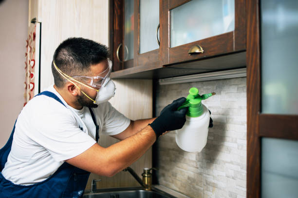Best Exterminator Services  in Saxon, SC