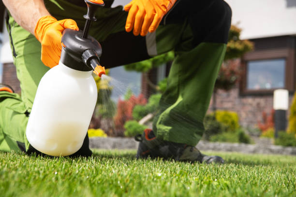 Best Pest Prevention Services  in Saxon, SC