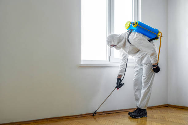 Best Residential Pest Control  in Saxon, SC