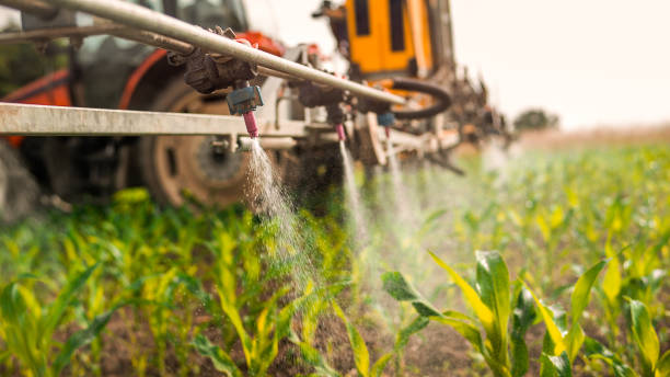 Best Pest Removal Services  in Saxon, SC